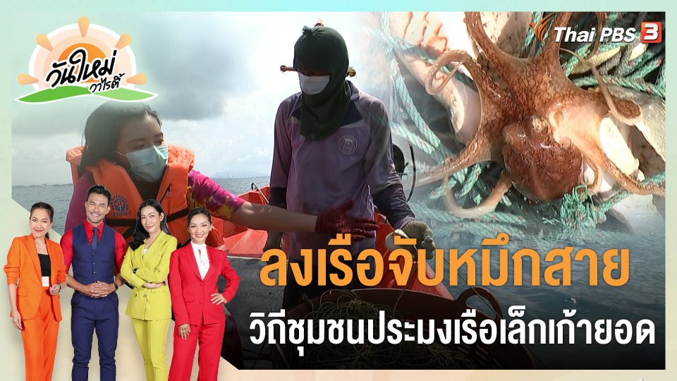 ลงเรือจับหมึกสาย วิถีชุมชนประมงเรือเล็กเก้ายอด