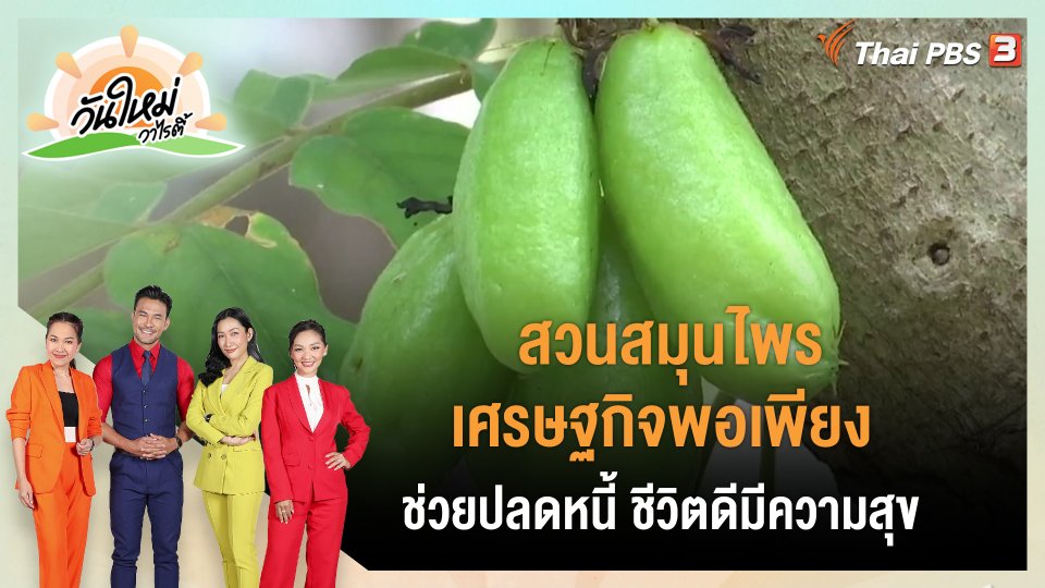 ​ดอกผลของความยั่งยืน : สวนสมุนไพรเศรษฐกิจพอเพียง ช่วยปลดหนี้ ชีวิตดีมีความสุข