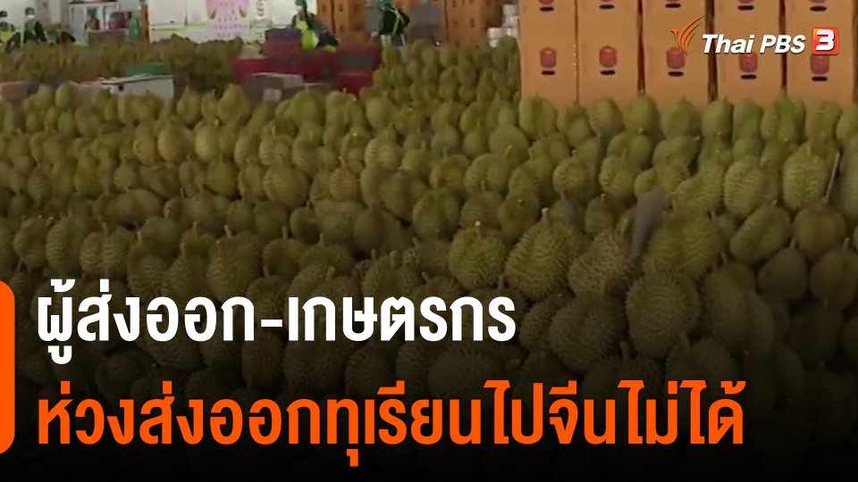 จับสัญญาณเศรษฐกิจ : ผู้ส่งออก-เกษตรกร ห่วงส่งออกทุเรียนไปจีนไม่ได้​