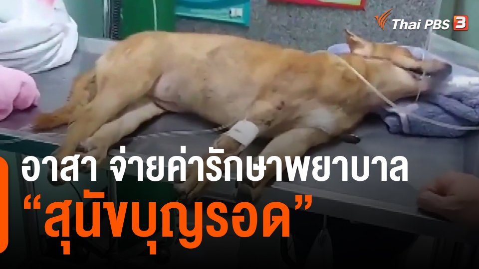 ​อาสา จ่ายค่ารักษาพยาบาล "สุนัขบุญรอด"
