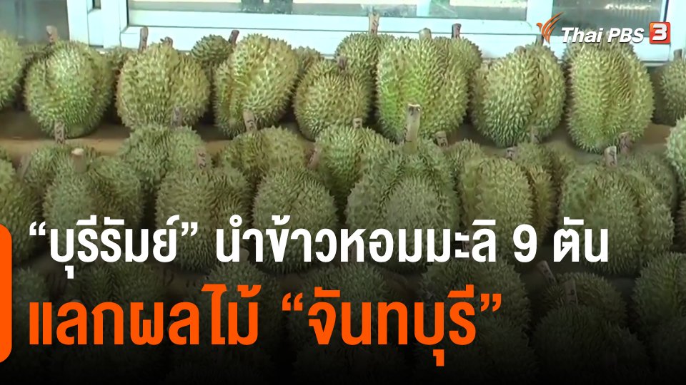 ​กินอยู่รู้รอบ : "บุรีรัมย์" นำข้าวหอมมะลิ 9 ตันแลกผลไม้ "จันทบุรี"