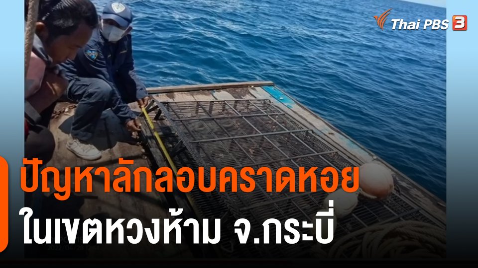 สถานีร้องเรียน : ปัญหาลักลอบคราดหอย ในเขตหวงห้าม จ.กระบี่