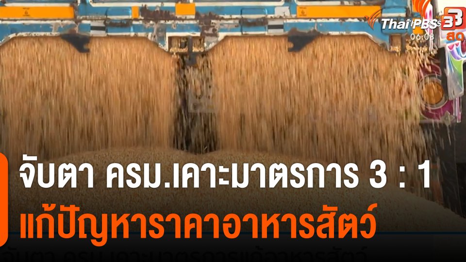 กินอยู่รู้รอบ : จับตา ครม.เคาะมาตรการ "3 ต่อ 1" แก้ปัญหาราคาอาหารสัตว์