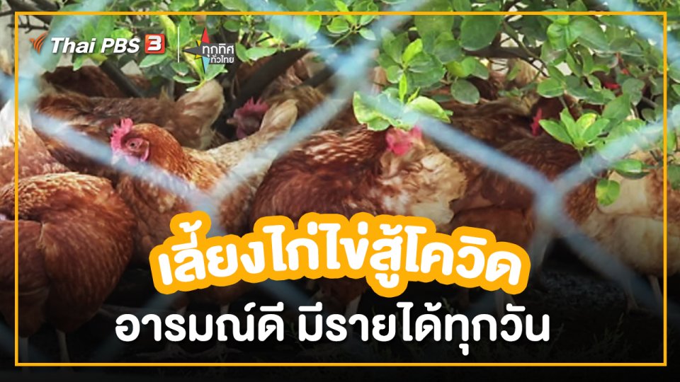 ​อาชีพทั่วไทย : สาวราชบุรีเลี้ยงไก่ไข่เพิ่มรายได้ช่วงโควิด-19