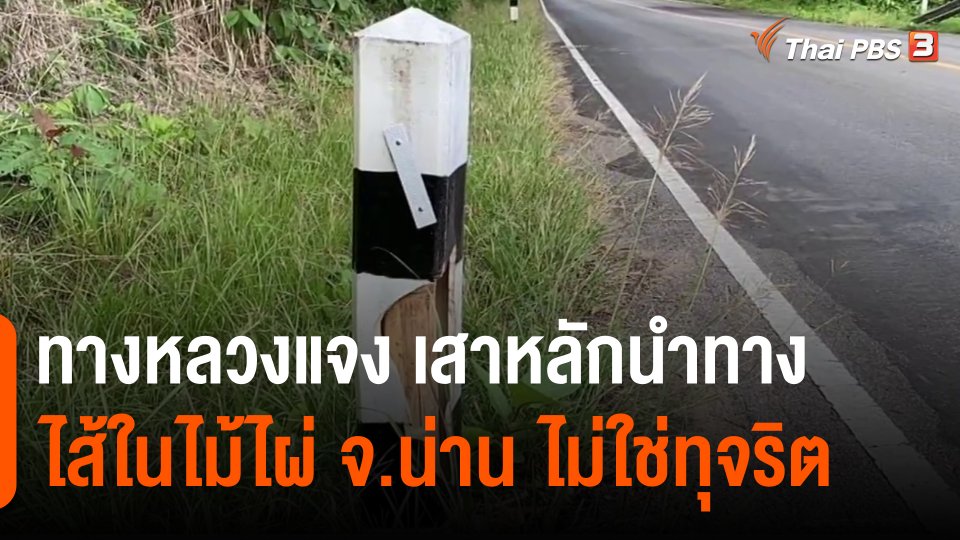 ​ทางหลวงแจง เสาหลักนำทางไส้ในไม้ไผ่ จ.น่าน ไม่ใช่ทุจริต