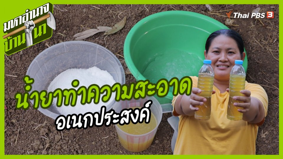 สูตรลับฉบับบ้านนา : น้ำยาทำความสะอาดอเนกประสงค์