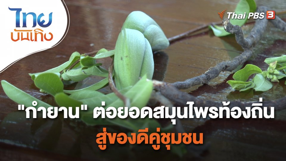 อิ่มมนต์รส : "กำยาน" ต่อยอดสมุนไพรท้องถิ่นสู่ของดีคู่ชุมชน