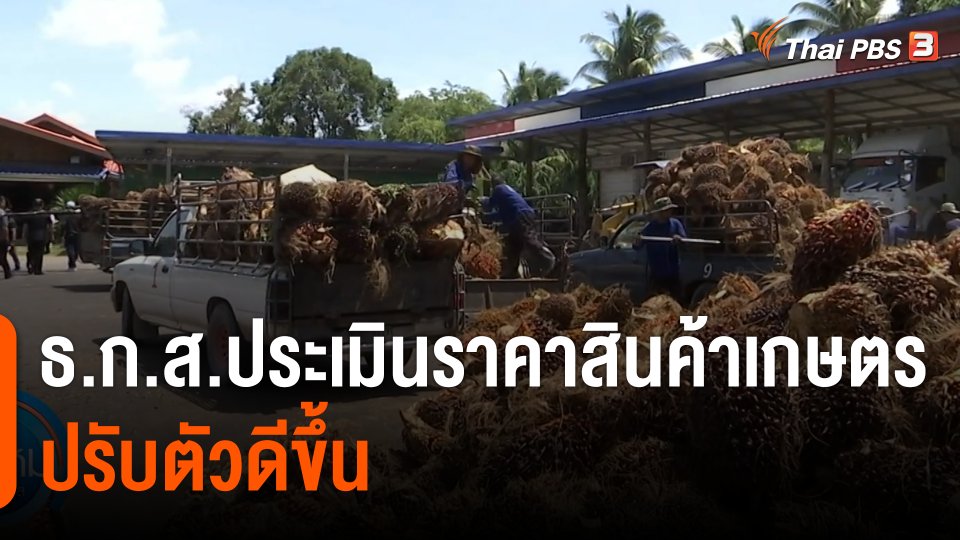 กินอยู่รู้รอบ : ธ.ก.ส.ประเมินราคาสินค้าเกษตรปรับตัวดีขึ้น