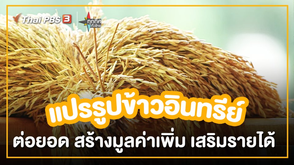 ​อาชีพทั่วไทย : แปรรูปข้าวอินทรีย์แบบดั้งเดิม ต่อยอด สร้างมูลค่าเพิ่ม จ.ตรัง