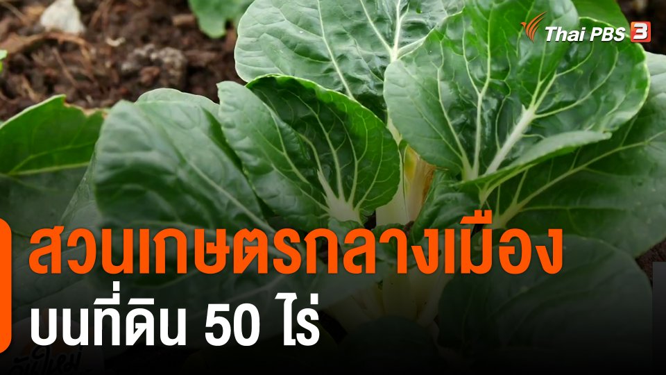 พอดีพอเพียง : สวนเกษตรกลางเมือง บนที่ดิน 50 ไร่