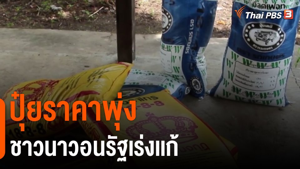 ​กินอยู่รู้รอบ : ปุ๋ยราคาพุ่งชาวนาวอนรัฐเร่งเเก้