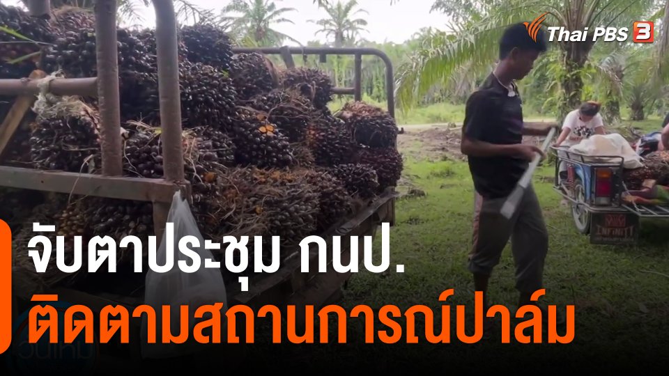 ​กินอยู่รู้รอบ : จับตาประชุม กนป.ติดตามสถานการณ์ปาล์ม