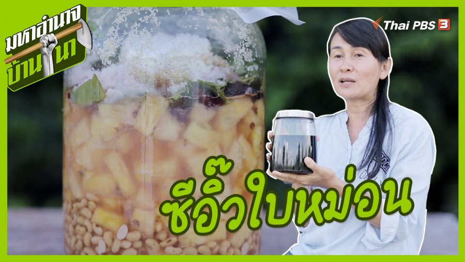 สูตรลับฉบับบ้านนา : ซีอิ๊วใบหม่อน