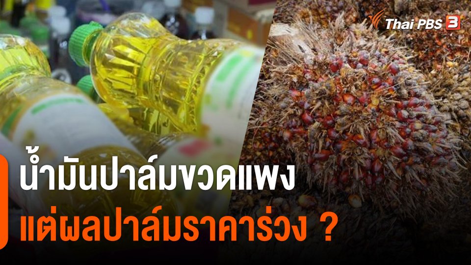 ปาล์มราคาร่วง - น้ำมันปาล์มขวดแพง ทำไมสวนทางกัน ?