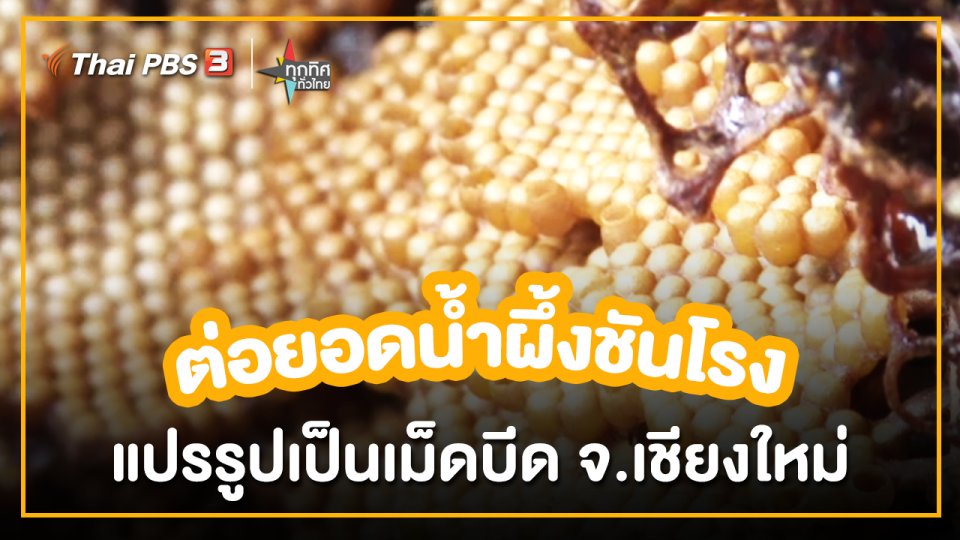 อาชีพทั่วไทย : ต่อยอดน้ำผึ้งชันโรงแปรรูปเป็นเม็ดบีด จ.เชียงใหม่