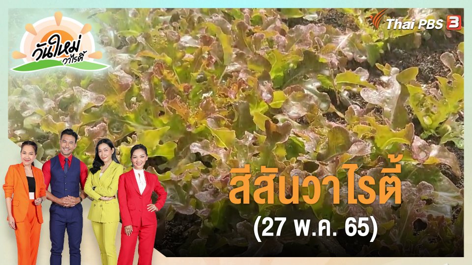 สีสันวาไรตี้ (27 พ.ค. 65)