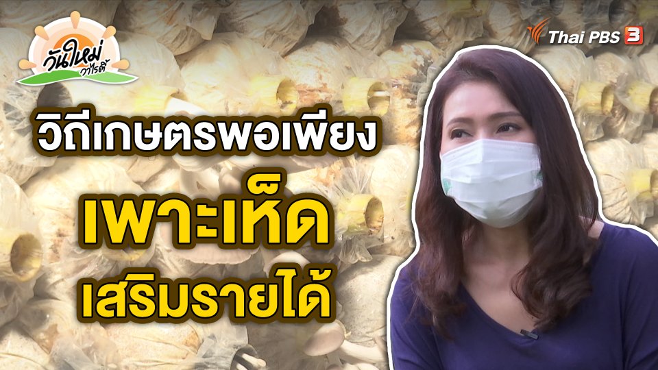 พอดีพอเพียง : วิถีเกษตรพอเพียง เพาะเห็ดเสริมรายได้
