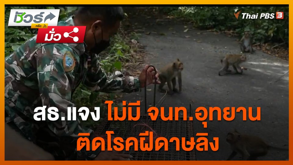 ชัวร์หรือมั่ว : สธ.แจง ไม่มี จนท.อุทยาน ติดโรคฝีดาษลิง