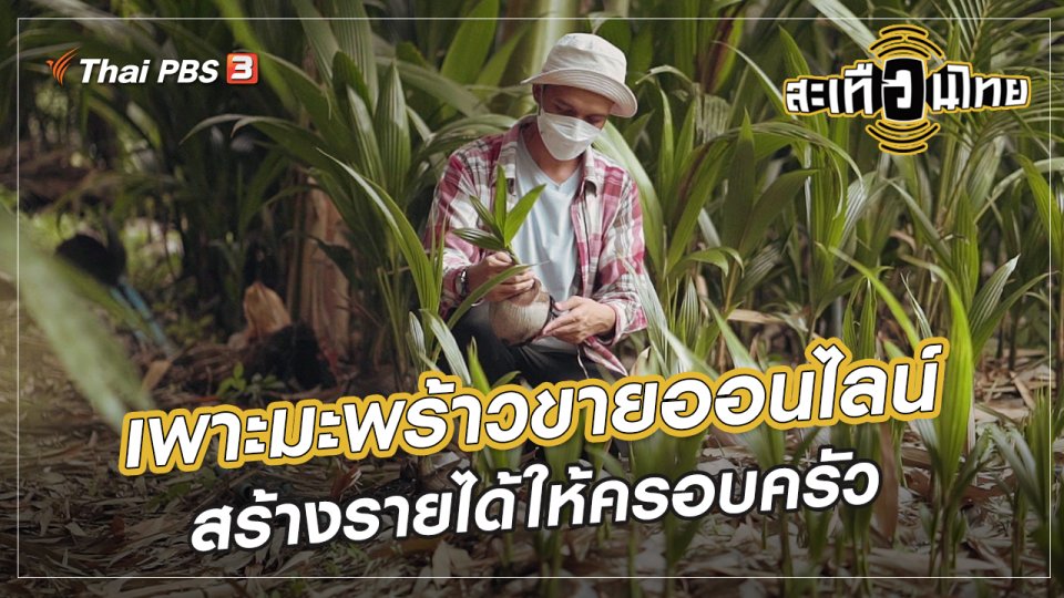​นักสร้างความเปลี่ยนแปลง : เพาะมะพร้าวขายออนไลน์ สร้างรายได้ให้ครอบครัว