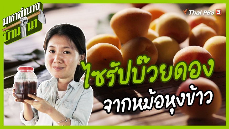 สูตรลับฉบับบ้านนา : การทำไซรัปบ๊วยดองจากหม้อหุงข้าว