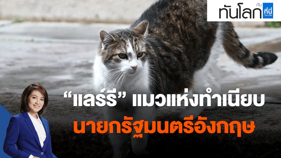 ​"แลร์รี" แมวแห่งทำเนียบนายกรัฐมนตรีอังกฤษ