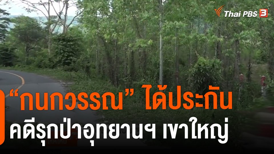 ​"กนกวรรณ" ได้ประกัน คดีรุกป่าอุทยานฯ เขาใหญ่