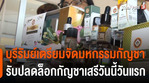 บุรีรัมย์เตรียมจัดมหกรรมกัญชา รับปลดล็อกกัญชาเสรีวันนี้วันแรก