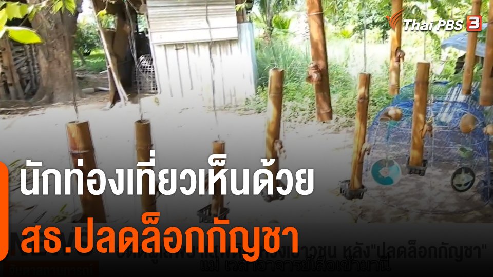 นักท่องเที่ยวเห็นด้วย สธ.ปลดล็อกกัญชา