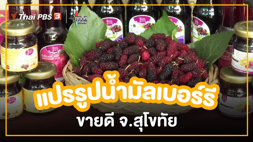 อาชีพทั่วไทย :  แปรรูปน้ำมัลเบอร์รีขายดี จ.สุโขทัย