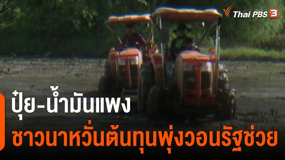 ปุ๋ย-น้ำมันแพง ชาวนาหวั่นต้นทุนพุ่งวอนรัฐช่วย