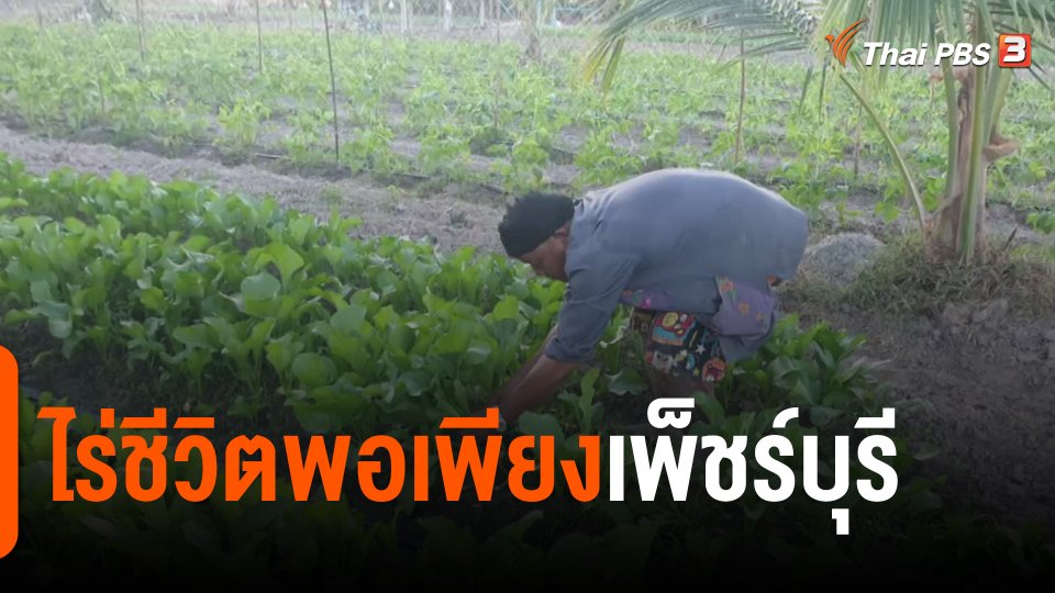 ​ดอกผลของความยั่งยืน : ไร่ชีวิตพอเพียงเพ็ชร์บุรี