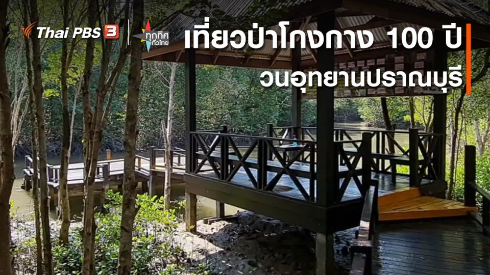 วิถีทั่วไทย : เที่ยวป่าโกงกาง 100 ปี วนอุทยานปราณบุรี จ.ประจวบคีรีขันธ์