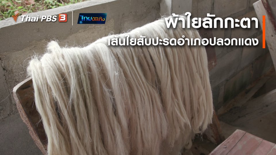 ​หัวใจในลายผ้า : ผ้าใยลักกะตา เส้นใยสับปะรดอำเภอปลวกแดง