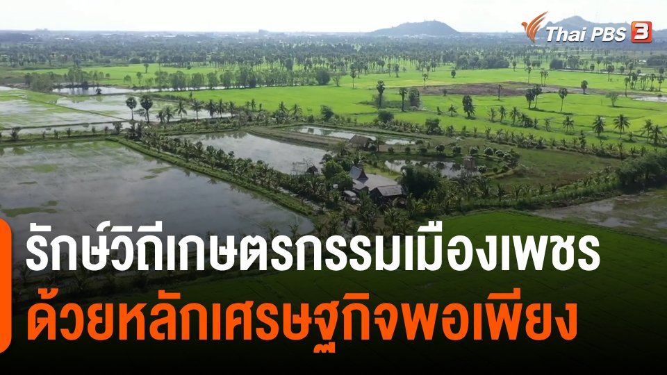 ​ดอกผลของความยั่งยืน : รักษ์วิถีเกษตรกรรมเมืองเพชร ด้วยหลักเศรษฐกิจพอเพียง