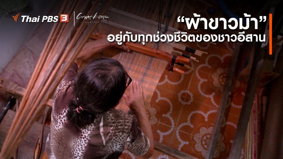 เรื่องเล่าคนกลับบ้าน : “ผ้าขาวม้า” อยู่กับทุกช่วงชีวิตของชาวอีสาน