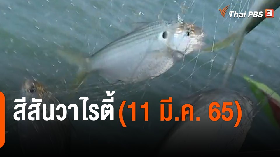 สีสันวาไรตี้ (11 มี.ค. 65)