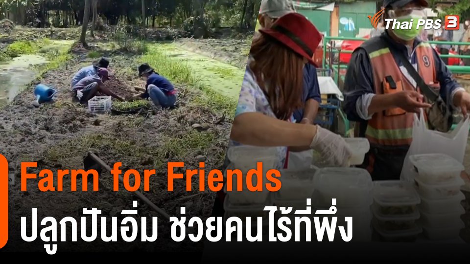 ประเด็นสังคม : "Farm for Friends" ปลูกปันอิ่ม ช่วยคนไร้ที่พึ่ง
