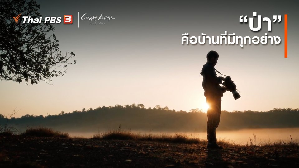 เรื่องเล่าคนกลับบ้าน : “ป่า” คือบ้านที่มีทุกอย่าง