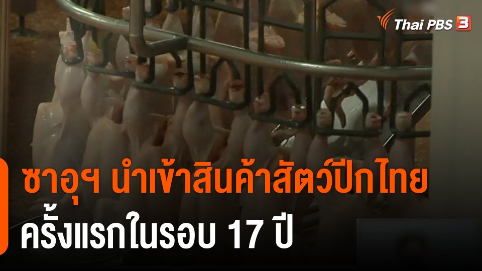จับสัญญาณเศรษฐกิจ : เปิดตลาดสัตว์ปีกในซาอุฯ ครั้งแรกใน 17 ปี