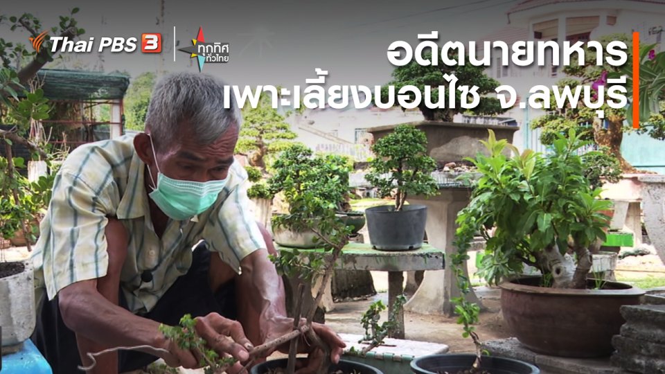 ​อาชีพทั่วไทย:อดีตนายทหารเพาะเลี้ยงบอนไซ จ.ลพบุรี