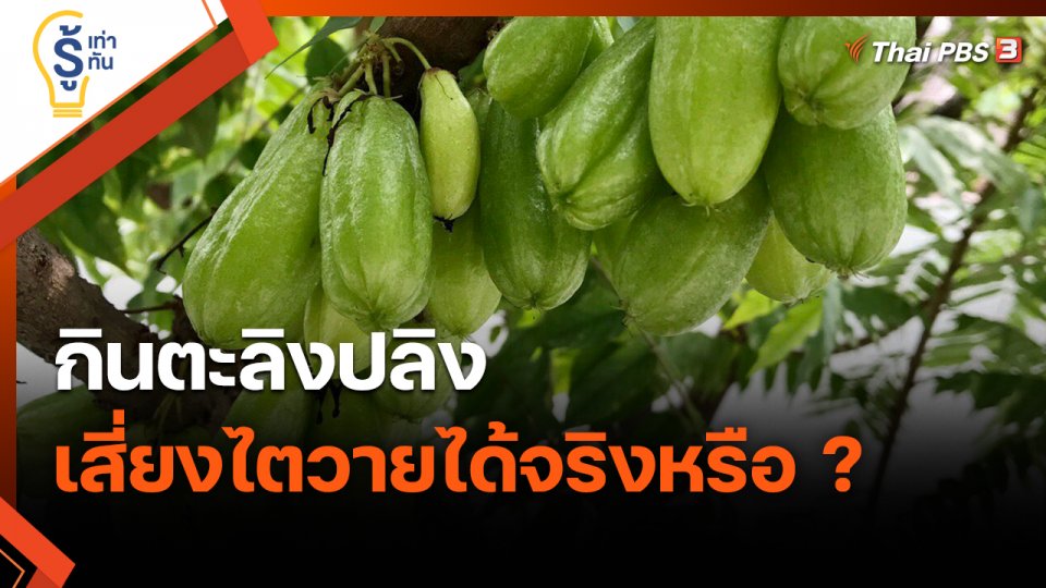 ​รู้เท่ารู้ทัน : กินตะลิงปลิง เสี่ยงไตวายได้จริงหรือ ?