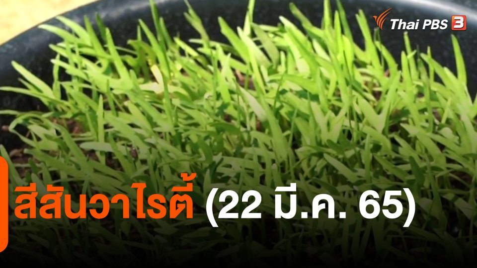 ​สีสันวาไรตี้ (22 มี.ค. 65)