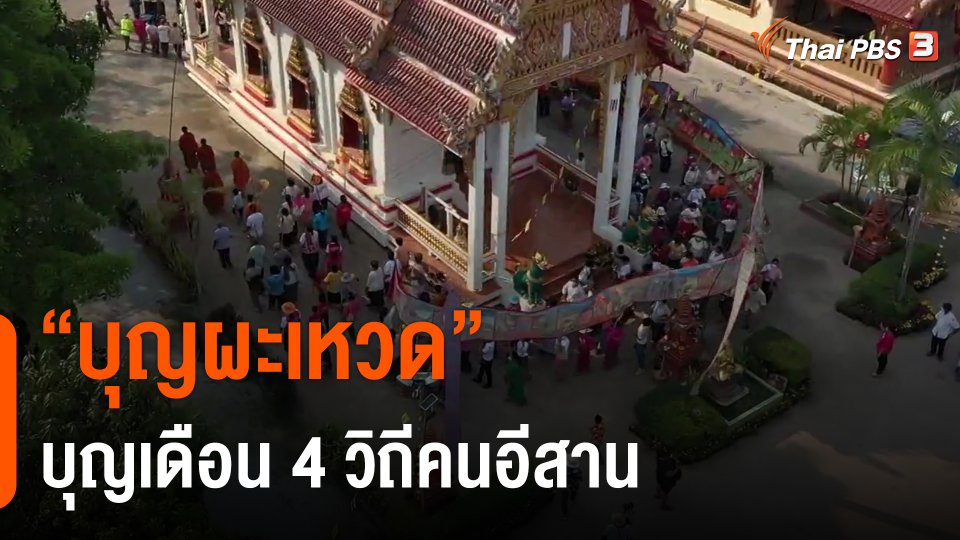 ​"บุญผะเหวด" บุญเดือน 4 วิถีคนอีสาน