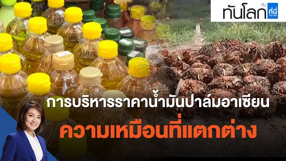 ASEAN Connect การบริหารราคาน้ำมันปาล์มอาเซียน ความเหมือนที่แตกต่าง