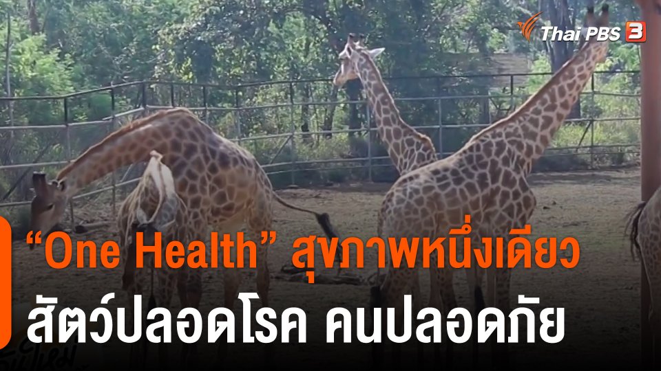 ​ดอกผลของความยั่งยืน : "One Health" สุขภาพหนึ่งเดียว สัตว์ปลอดโรค คนปลอดภัย