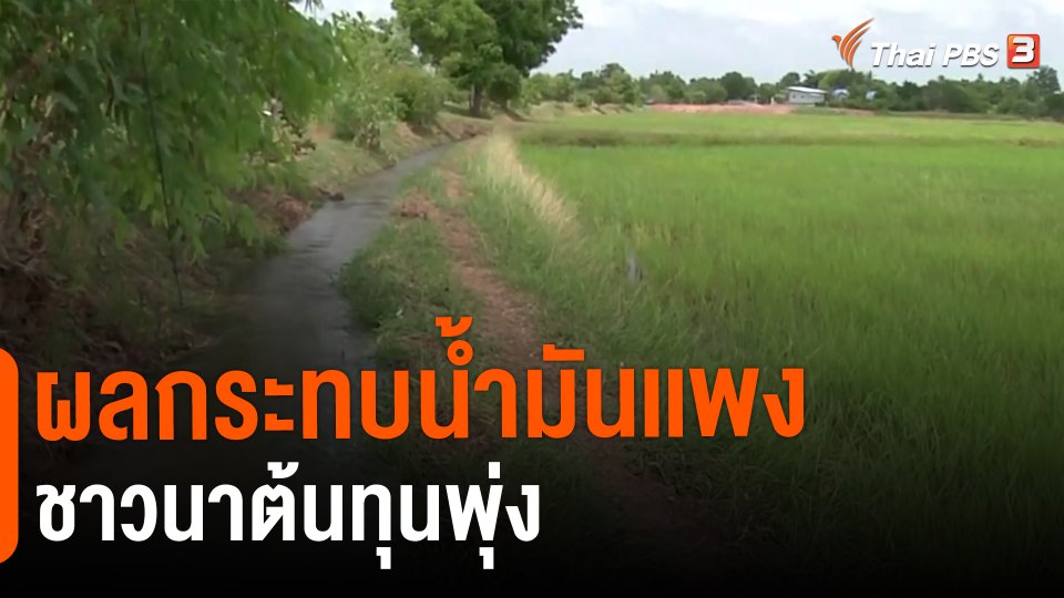 ​ผลกระทบน้ำมันเเพงชาวนาต้นทุนพุ่ง