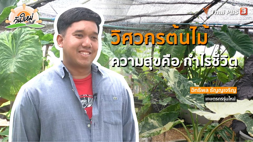 ​พอดีพอเพียง : วิศวกรต้นไม้ ความสุขคือกำไรชีวิต
