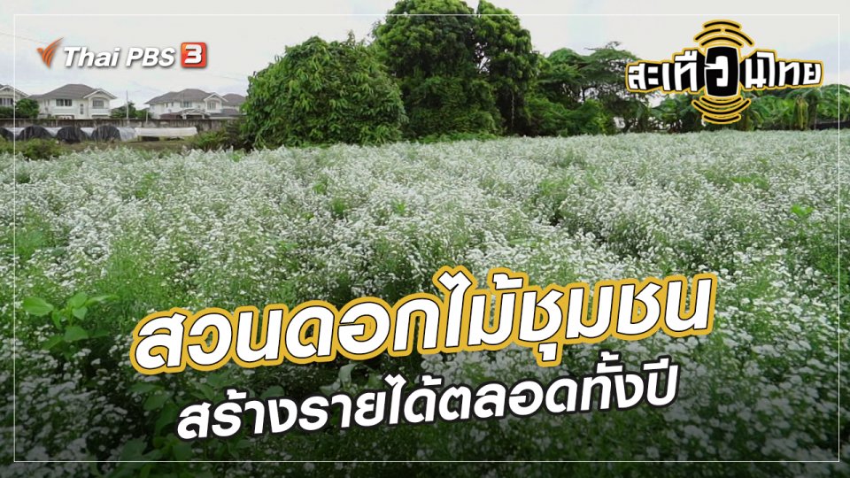 นักสร้างความเปลี่ยนแปลง : สวนดอกไม้ชุมชน สร้างรายได้ตลอดทั้งปี