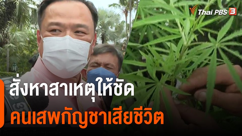"อนุทิน" สั่งหาสาเหตุให้ชัดคนเสพกัญชาเสียชีวิต