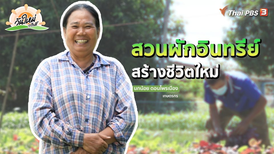 ​พอดีพอเพียง : สวนผักอินทรีย์ สร้างชีวิตใหม่